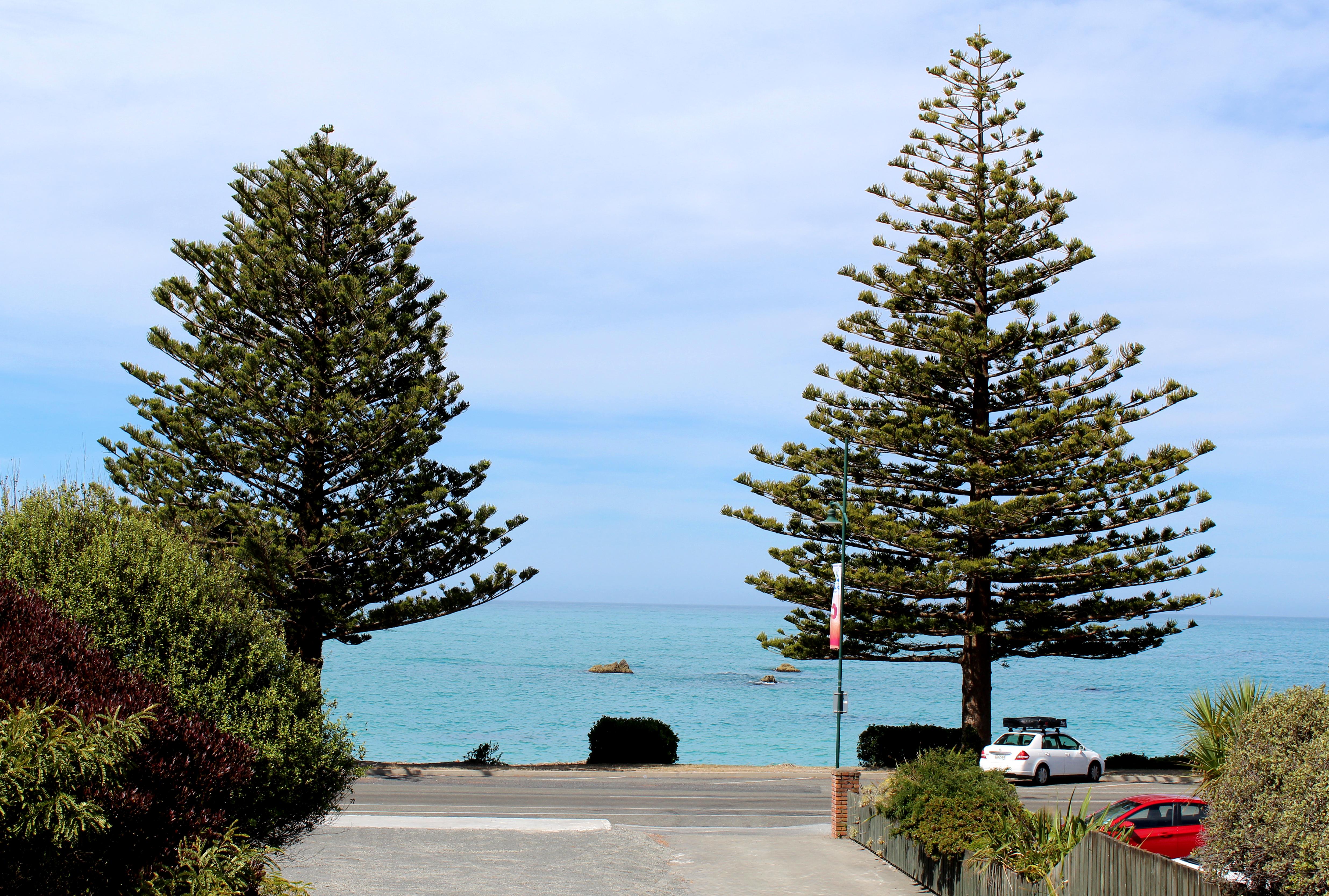 The White Morph - Heritage Collection Kaikoura Exterior photo